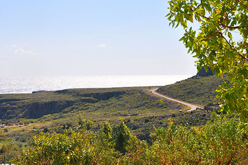 ΑΛΚΥΟΝΗ Διαμερίσματα